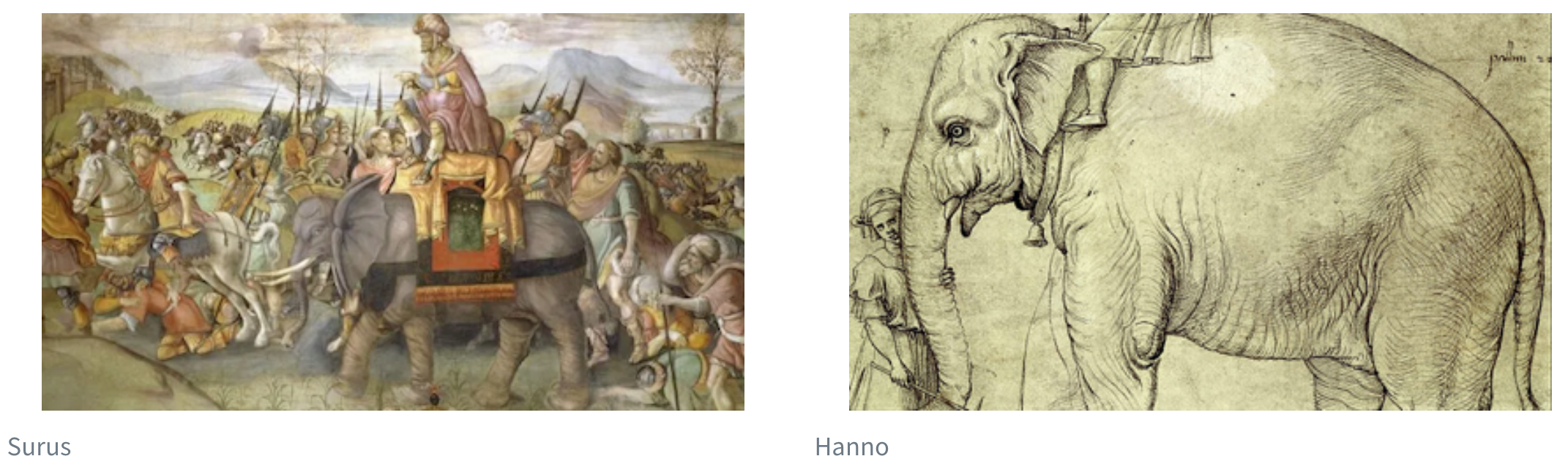 An artistic rendition of Surus, Hannibal's last war elephant, is on the left. Underneath this picture is the caption 'Surus.' On the right is a line drawing of Hanno, a famous elephant. Underneath this picture is the caption 'Hanno.'